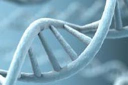 在线呼叫网页版